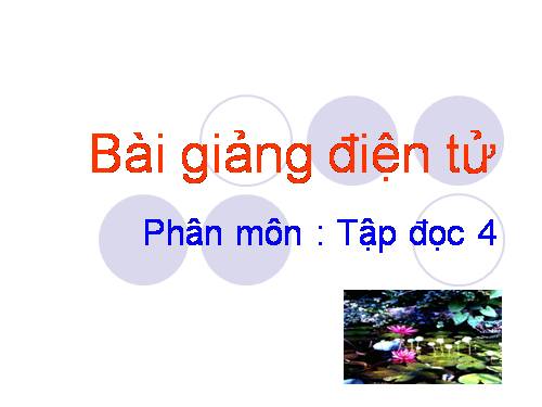 Tuần 22. Chợ Tết