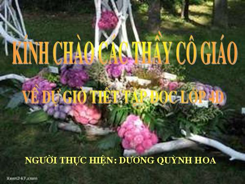 Tuần 30. Dòng sông mặc áo