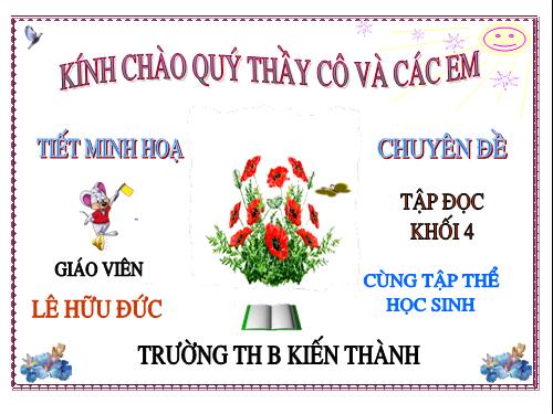 Tuần 23. Hoa học trò