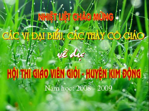 Tuần 20. Bốn anh tài (tiếp theo)