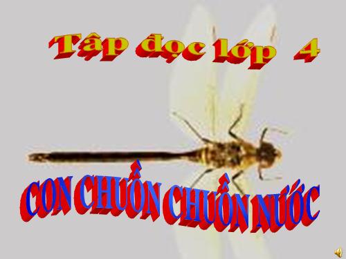 Tuần 31. Con chuồn chuồn nước