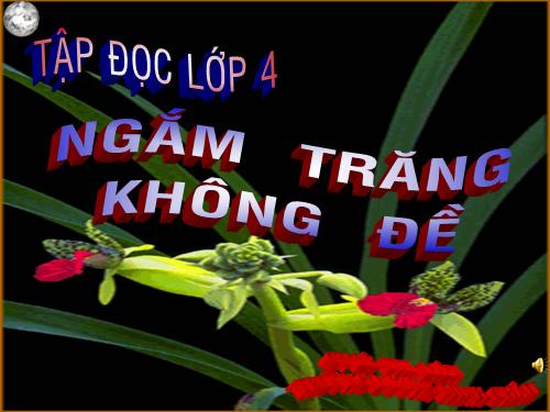 Tuần 32. Ngắm trăng. Không đề