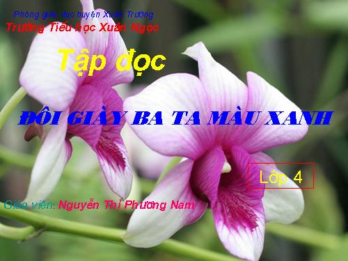 Tuần 8. Đôi giày ba ta màu xanh