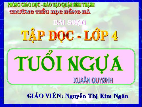 Tuần 15. Tuổi Ngựa