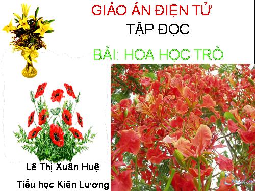 Tuần 23. Hoa học trò