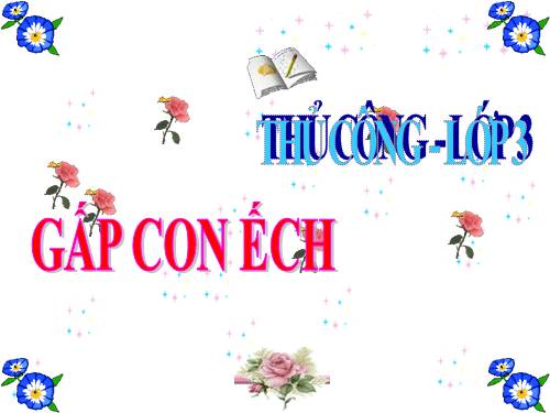 Bài 2. Gấp con ếch