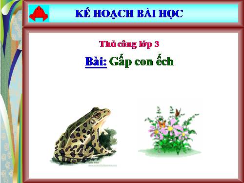 Bài 2. Gấp con ếch