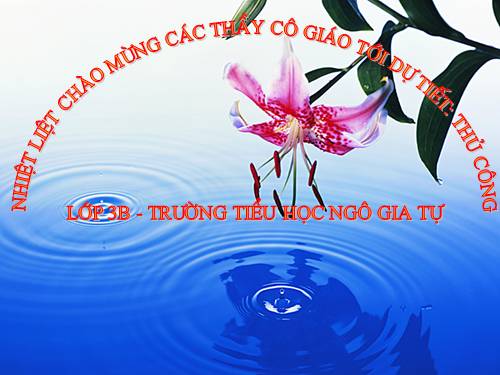 Bài 4. Gấp, cắt, dán bông hoa