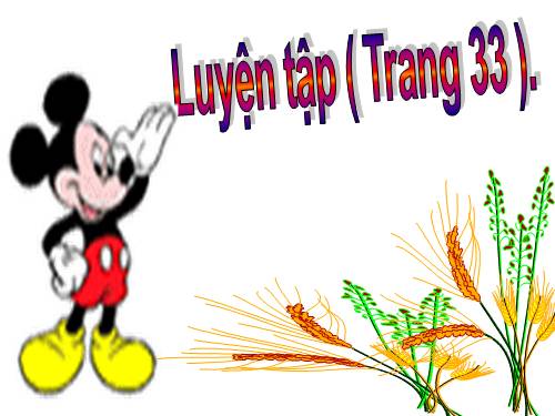 Luyện tập Trang 33