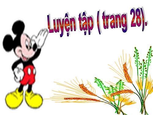 Luyện tập Trang 28