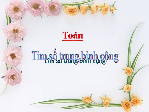 Tìm số trung bình cộng