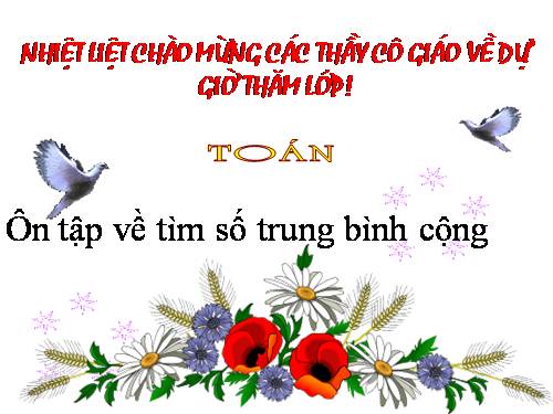 Ôn tập về Tìm số trung bình cộng