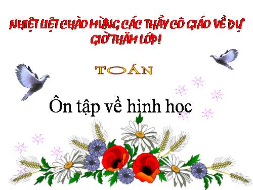 Ôn tập về hình học