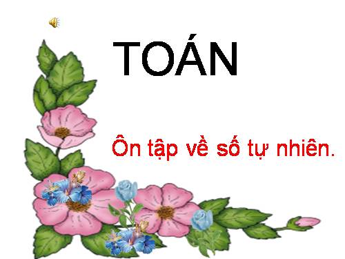 Ôn tập về số tự nhiên