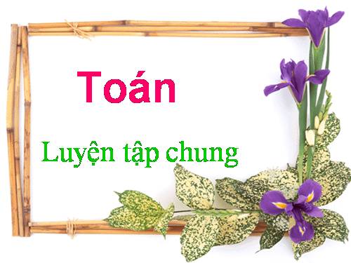 Luyện tập chung Trang 137