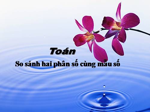 So sánh hai phân số cùng mẫu số