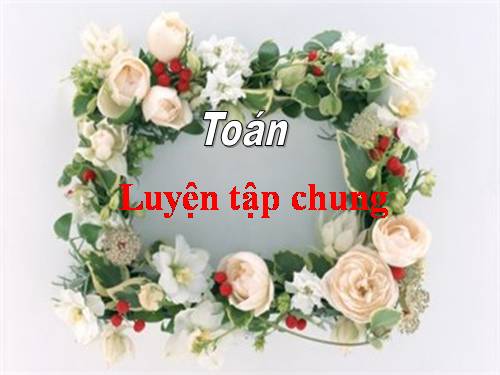 Luyện tập chung Trang 48