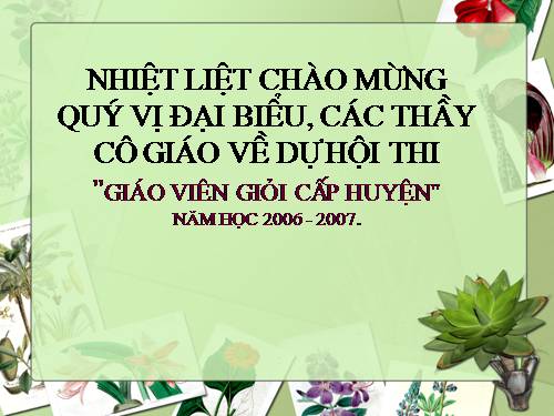 Diện tích hình thoi