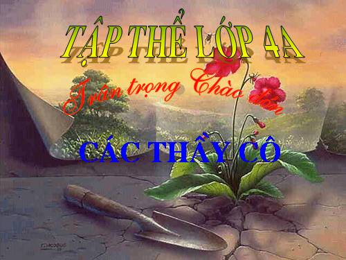 Quy đồng mẫu số các phân số (tiếp theo)
