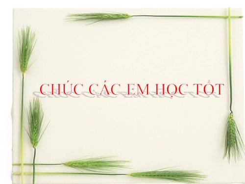 Các Bài giảng khác thuộc Chương trình Toán 4