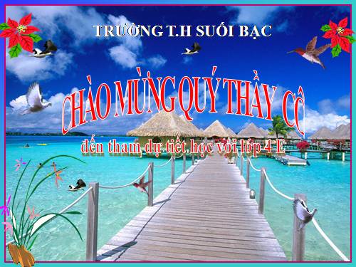 Quy đồng mẫu số các phân số (tiếp theo)