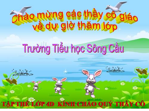 Tìm phân số của một số