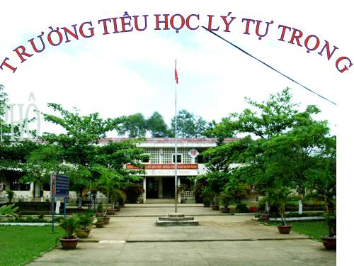 Các Bài giảng khác thuộc Chương trình Toán 4