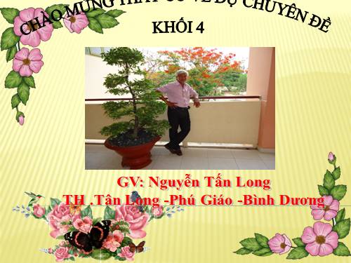 Diện tích hình thoi