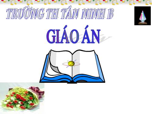 Các Bài giảng khác thuộc Chương trình Toán 4