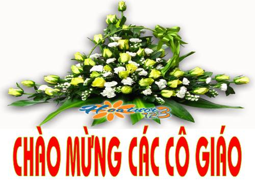 Ôn tập về hình học (tiếp theo)