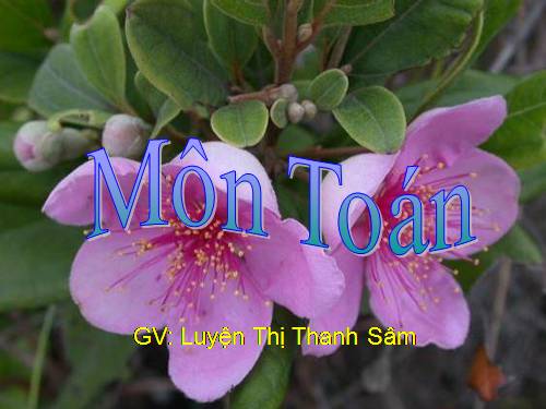 Tìm phân số của một số