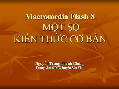 Tin học: STGT Gt một số KT cơ bản về Flash