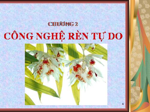 HN DN: STGT công nghệ rèn 2.