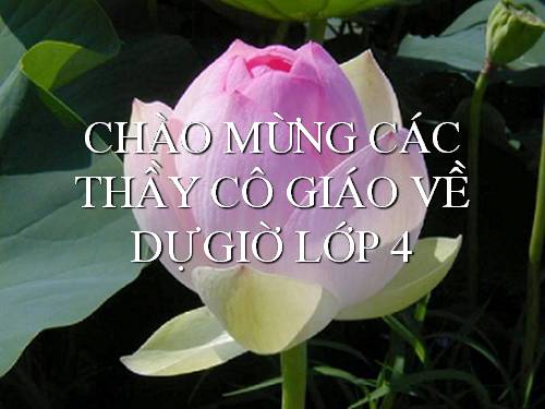 Biểu thức có chứa một chữ