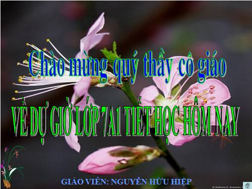 mùa xuân của tôi. đạt giải tỉnh