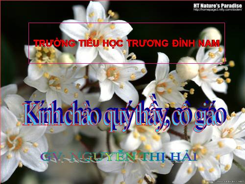 Diện tích hình thoi