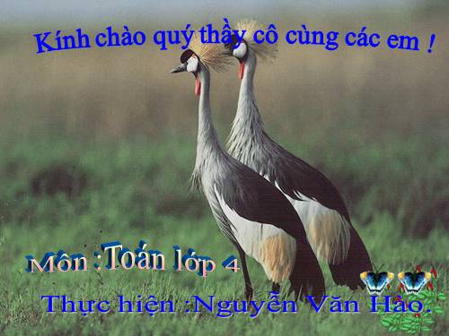 Các Bài giảng khác thuộc Chương trình Toán 4