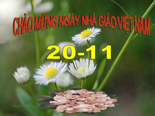trò chơi chung sức