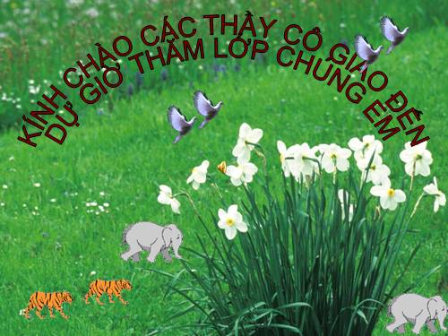Phân số bằng nhau