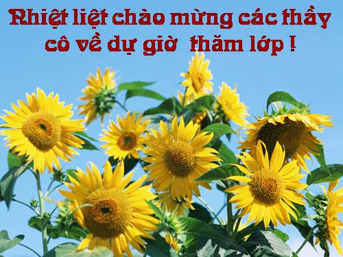 Tỉ lệ bản đồ