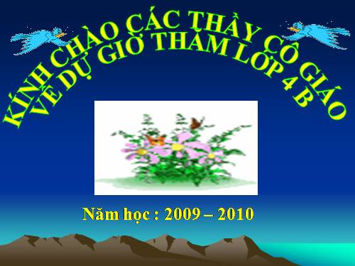 Diện tích hình thoi