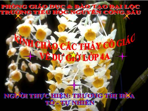 Quy đồng mẫu số các phân số (tiếp theo)