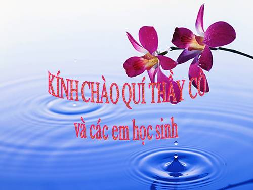 Các Bài giảng khác thuộc Chương trình Toán 4