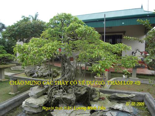 Các Bài giảng khác thuộc Chương trình Toán 4