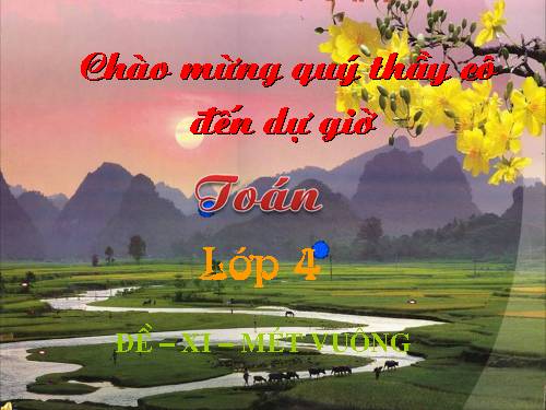 Đề - xi - mét vuông