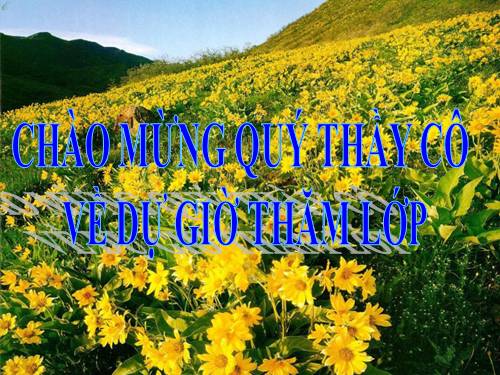 Dấu hiệu chia hết cho 9