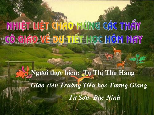 Diện tích hình thoi