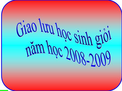 giao lưu HSG 2008