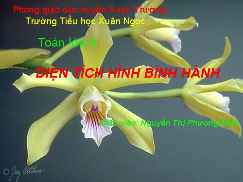 Diện tích hình bình hành