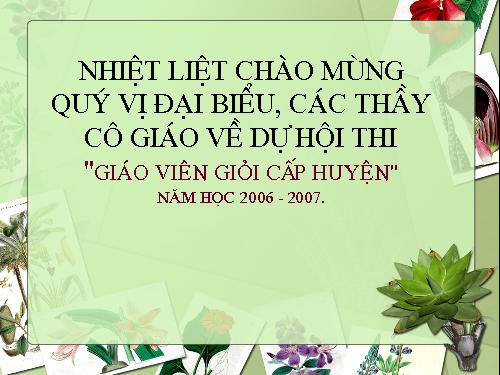 Diện tích hình thoi